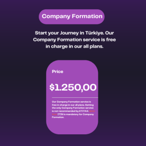 Company Formation