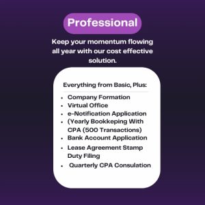 Professional Plan